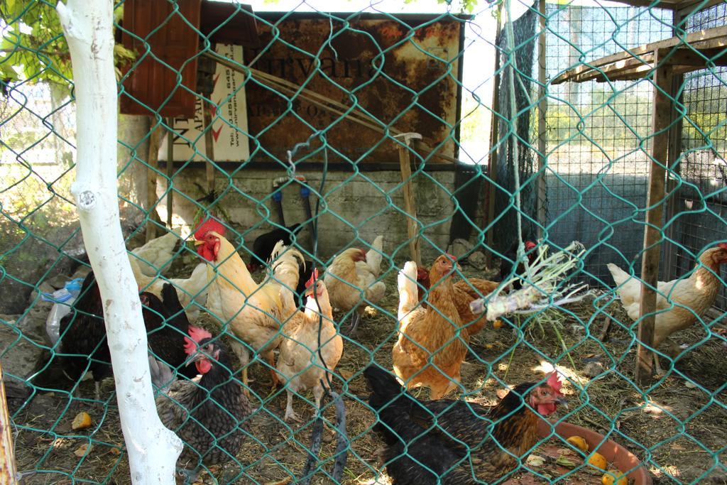 Nirvana Hotel Göcek Kültér fotó